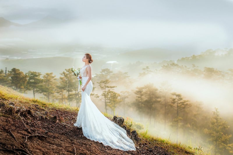 Dream Wedding